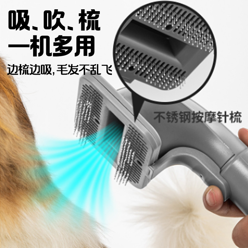 宠物吹水机吹毛神器！大型犬洗澡吹干新福音！