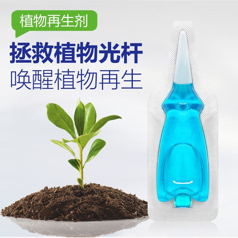 艾尚棵植物再生剂：花卉绿植的救星，多肉盆栽的福音！