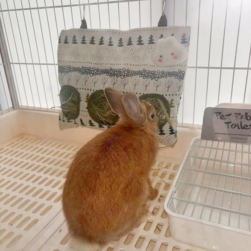 超萌兔子草袋悬挂式兔子草架，荷兰猪龙猫宠物兔的喂食神器！
