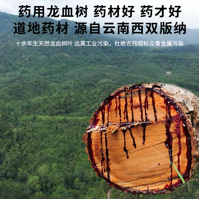 天浦云南龙血树叶粉：乳腺增生肿瘤消炎止痛胃疼结节的福音