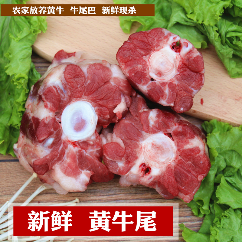 牛尾巴大揭秘：新鲜整根牛尾巴，解锁美食新境界！