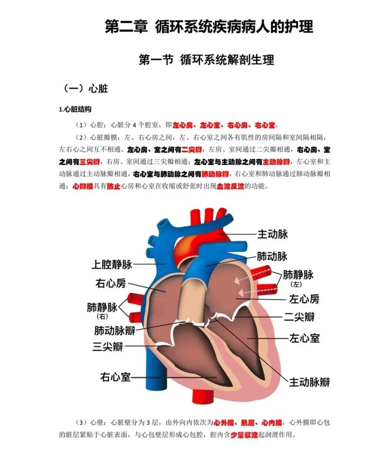 php 跳出循环, 循环结构概述