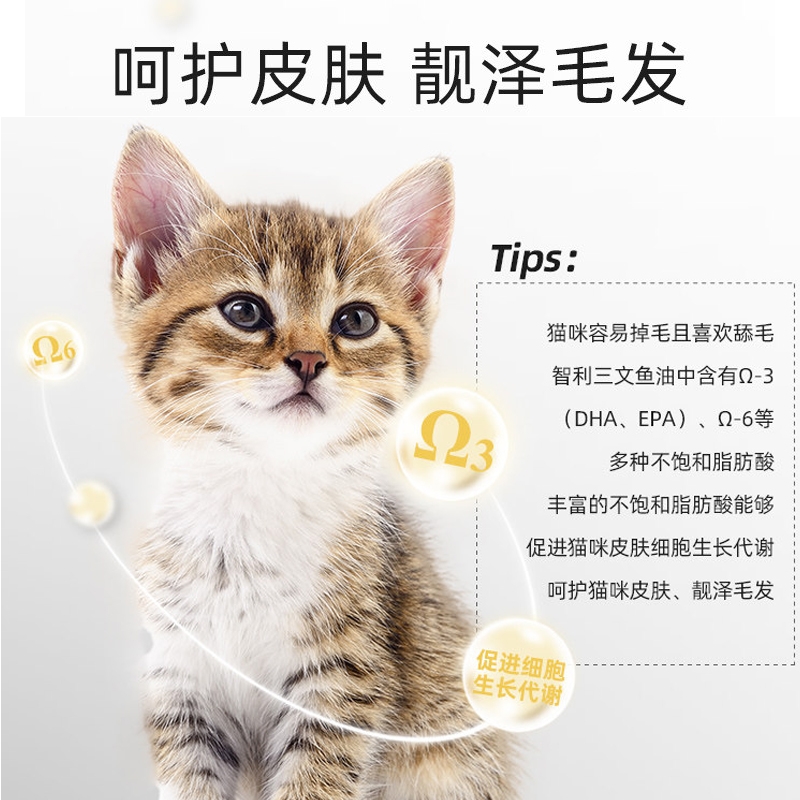 麦富迪卡莉猫粮：增肥发腮，靓毛亮眼，幼成猫都能用的秘密武器！