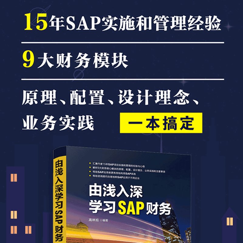 由浅入深掌握SAP财务：高林旭编著，新华书店正版图书，助你轻松入门办公自动化软件