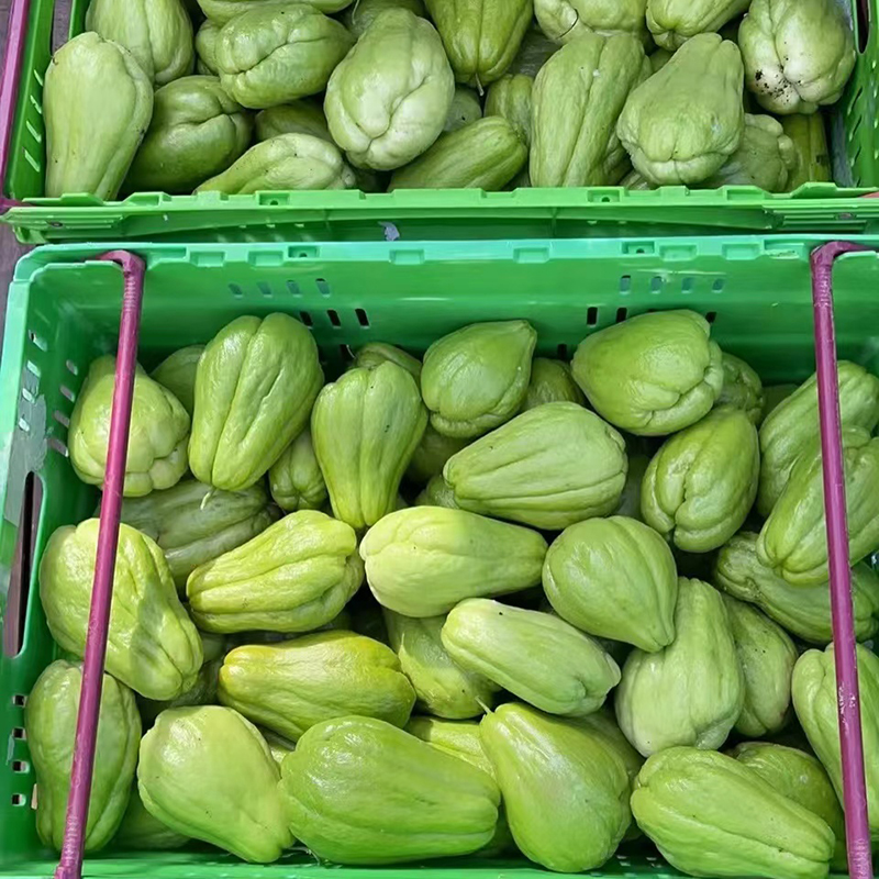 云南佛手瓜：自然的馈赠，鲜嫩多汁的绿色蔬菜！