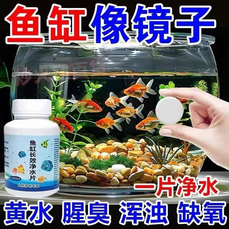 玛豆维喜硝化细菌：鱼缸水质守护神，新手养鱼必备神器！