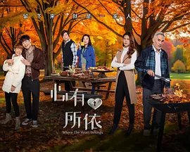 心有所依封面图