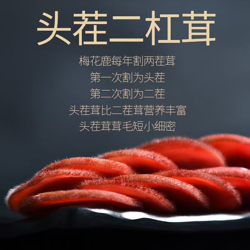 吉林东北干鹿茸梅花鹿二杠鹿茸：滋补养生新选择，送礼自用两相宜！
