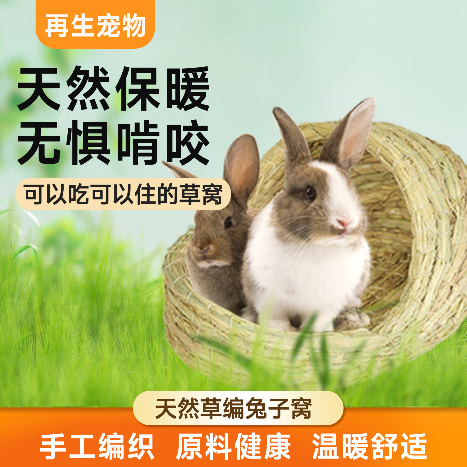 网购侏儒兔避坑指南！别再被“可爱”骗了！
