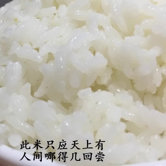 金福乔府大院五优稻4号！这波大米真的香到离谱！吃过的都说绝了