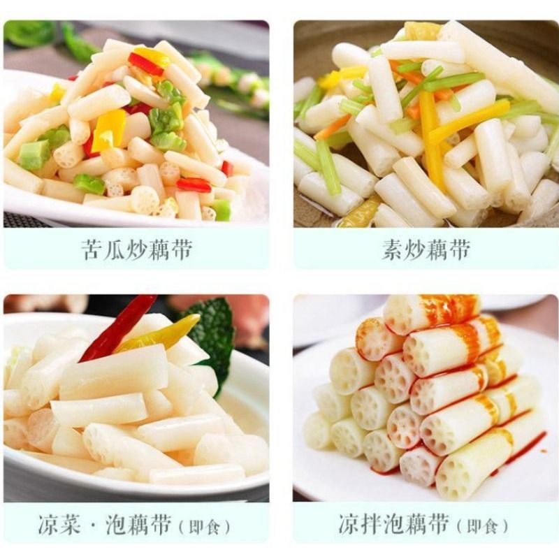 揭秘南极仙翁的神秘法力：冰封之地的守护者