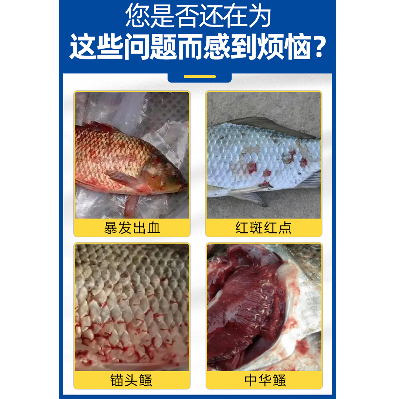 鱼用暴血停：四大家鱼专用的救星，告别出血病难题！