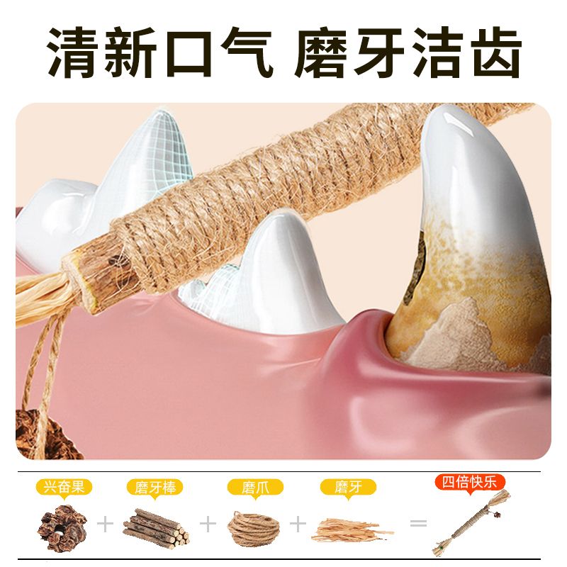 宠物骨科用紧丝钳：宠物骨折康复神器，厂家直销，顺丰包邮！