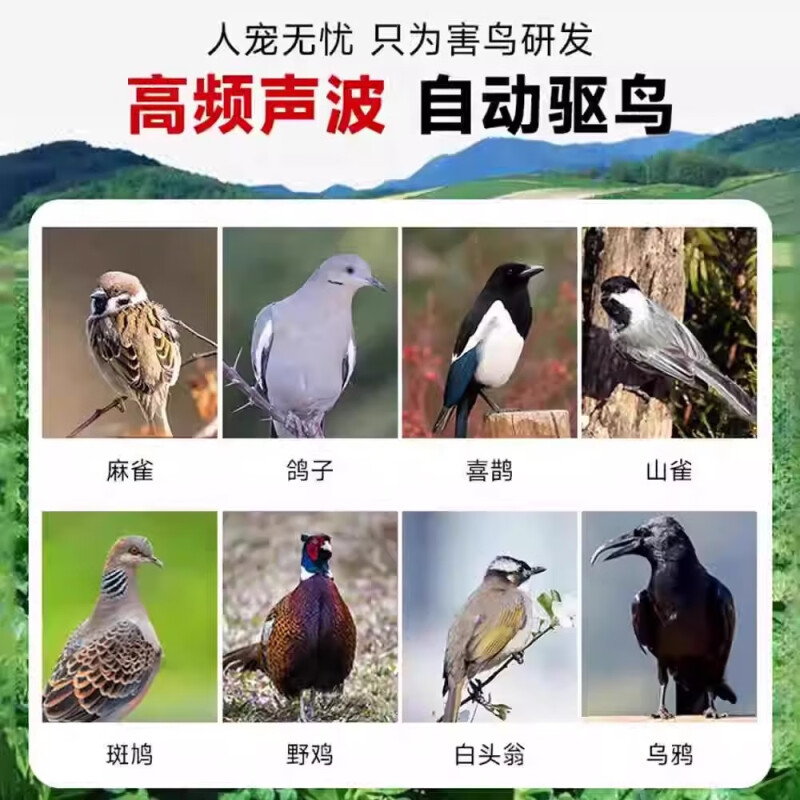 安徽避雷墩光伏神器：屋顶发电的秘密武器
