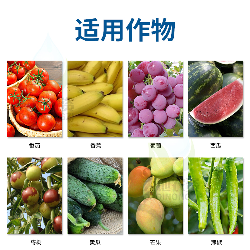 杜邦阿砣啶氧菌酯：对抗灰霉病、炭疽病等顽固病害的高效农药杀菌剂
