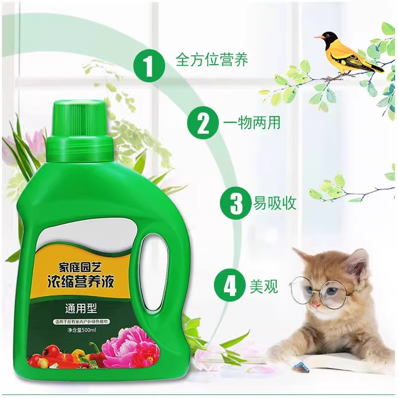 阿芙罗狄蒂捕虫堇：办公室里的绿色守护神，兼谈鱿鱼须小虫草与防辐射多肉盆栽