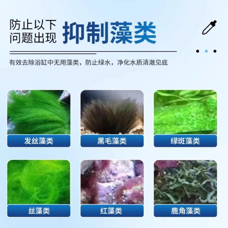 鱼缸除藻神器：告别绿水青苔，打造清澈水族世界！