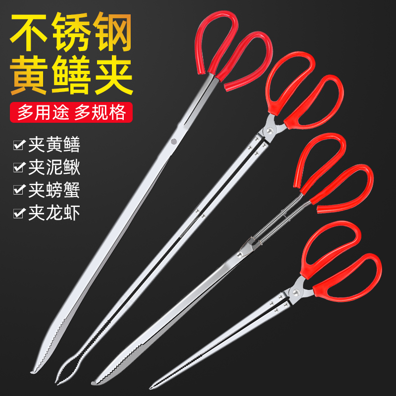 黄鳝夹鱼夹子大揭秘：轻松捕捉泥鳅鳝鱼的神器！