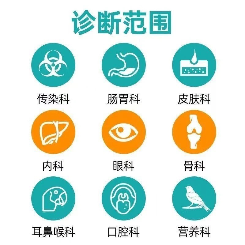宠物医生在线解答：金丝熊拉肚子怎么办？仓鼠生病求助指南