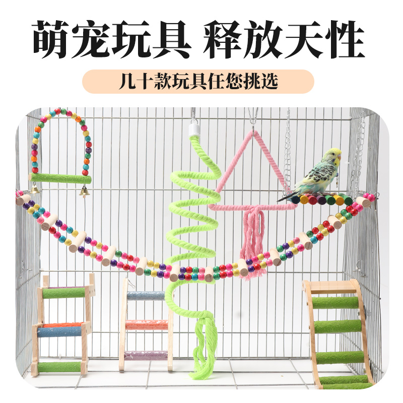 鹦鹉乐园大揭秘：虎皮牡丹玄凤最爱的秋千吊环云梯！✨