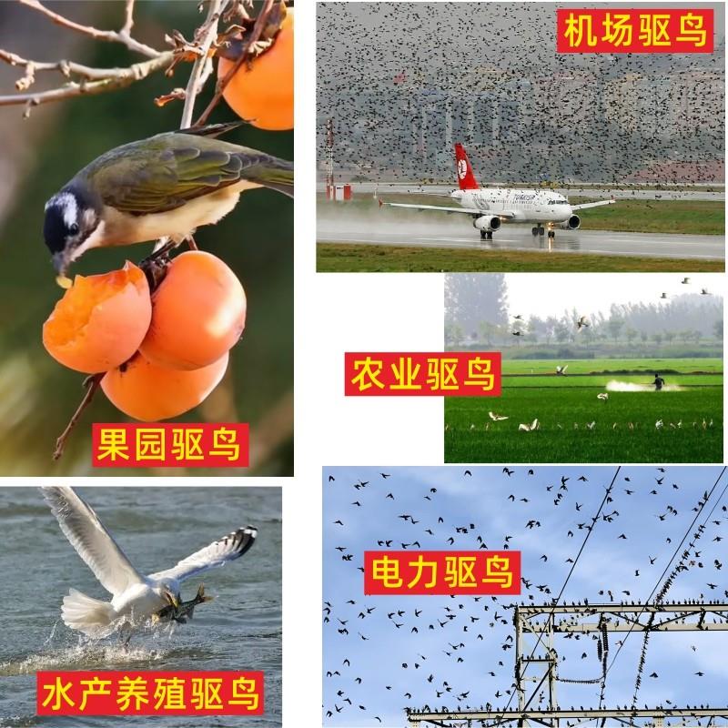 525nm绿激光驱鸟器：农业果园水产养殖变电站光伏太阳能板赶鸟神器！