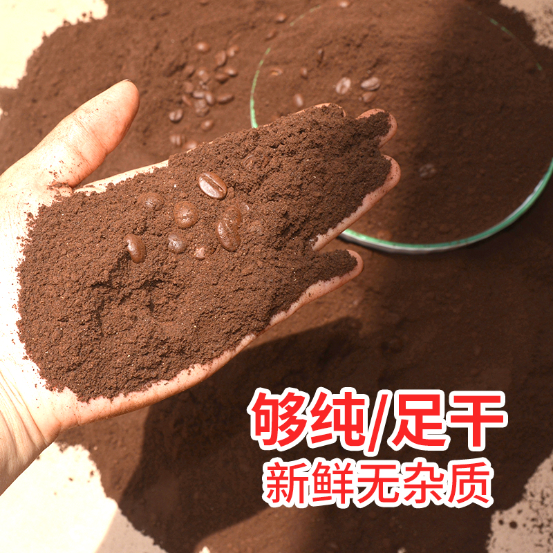 新鲜晒干咖啡渣，新房除异味神器，还能变废为宝做堆肥？