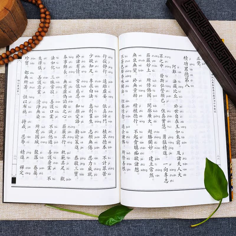 正版现货佛说大乘无量寿庄严清净平等觉经解，开启心灵之旅