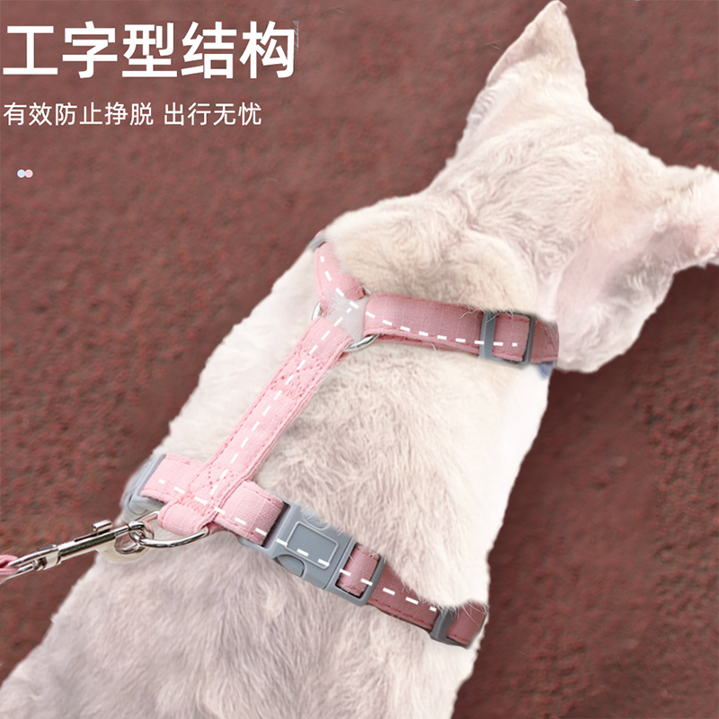 猫咪牵引绳大揭秘：如何让你的小猫变成空中飞“喵”？
