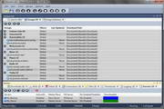 Newsbin Pro6.61