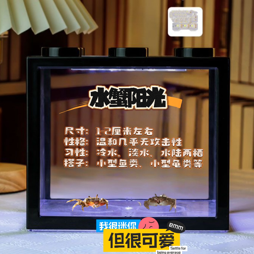 揭秘：肉蟹究竟是淡水蟹还是海水蟹？