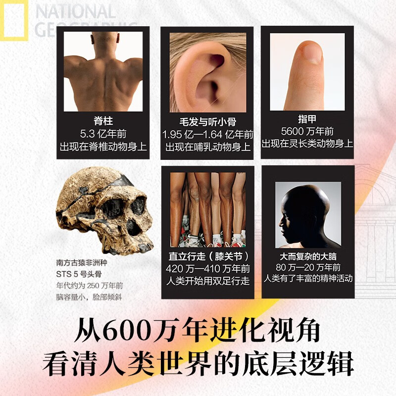 现货《人类简史》：解锁人类600万年的进化密码，洞见未来！