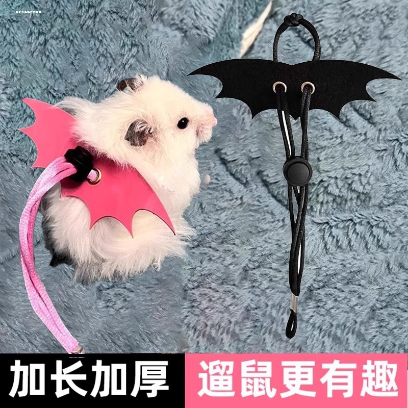 仓鼠牵引绳：让迷你宠物安全外出的秘密武器✨
