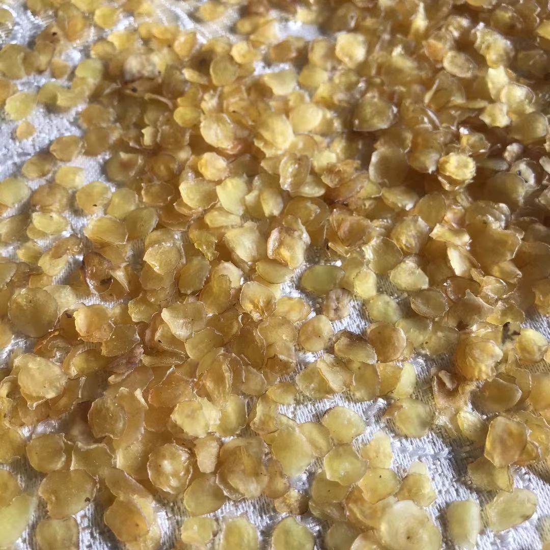 天然养辰双荚雪莲子：解锁贵州美味，零糖皂角米新体验