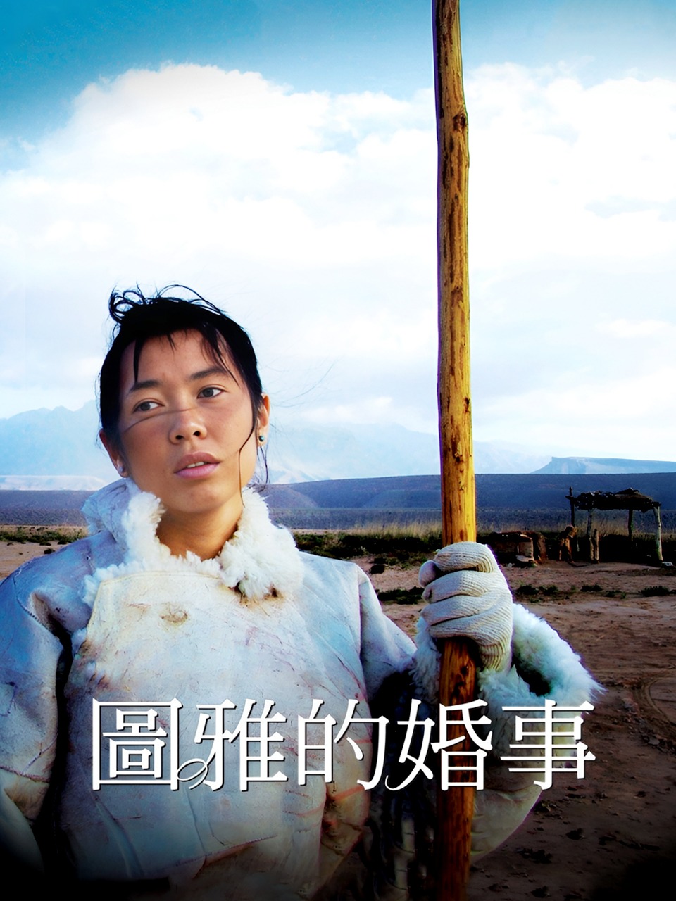 图雅的婚事
