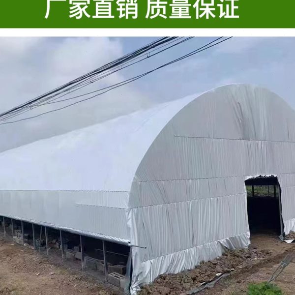 天津热镀锌管大棚钢管骨架：温暖你的种植养殖梦想，揭秘椭圆管暖棚架包塑钢管的秘密！