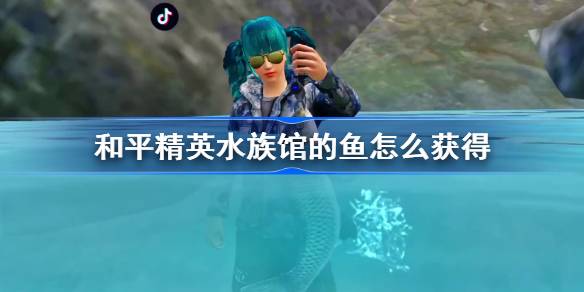 和平精英水族馆的鱼怎么获得 和平精英鱼类获取地点大全