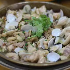 海鲜白贝大揭秘：10斤鲜活白贝，如何挑出最肥美的那一份？