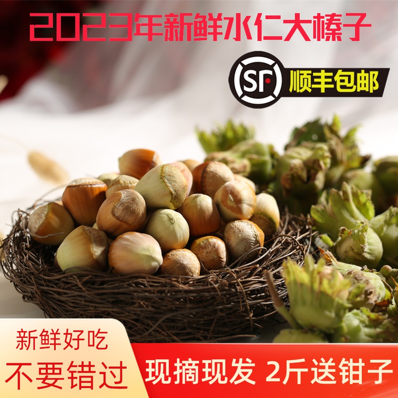 桓仁新鲜大榛子：东北绿皮水仁，当季新鲜坚果，好吃到停不下来！