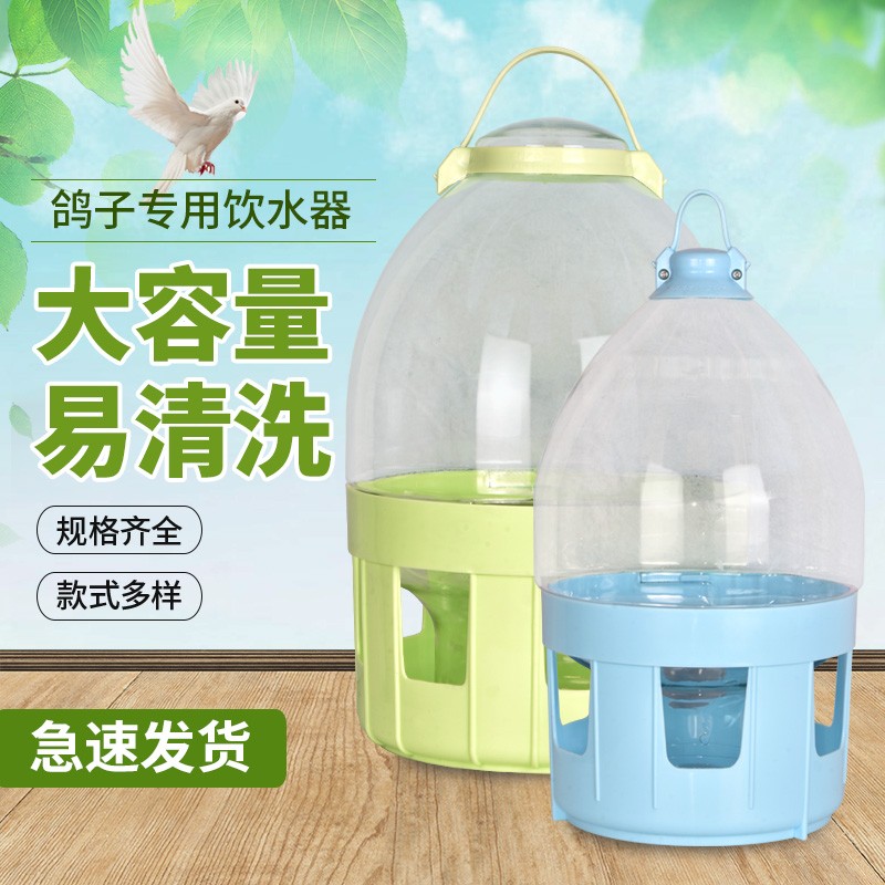 赛鸽饮水神器大揭秘：信鸽用品中的自动喂水器，让鸽子喝水不再难！