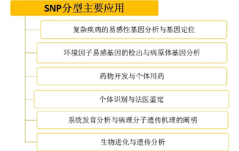 snp数据库,基因多态性的宝库