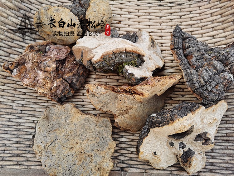松针层孔菌&amp;野生灵芝&amp;桑黄：货真价实，低价无添加，如何辨别正品保证？