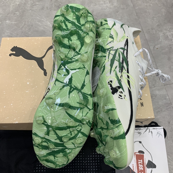 Puma和Cheetah：谁才是速度王者？这波我必须站队！