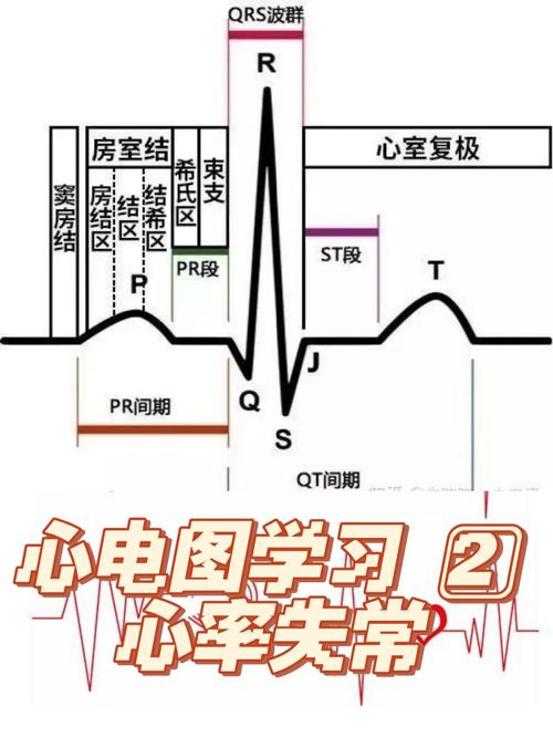 心电数据库,心电数据库的重要性与概述