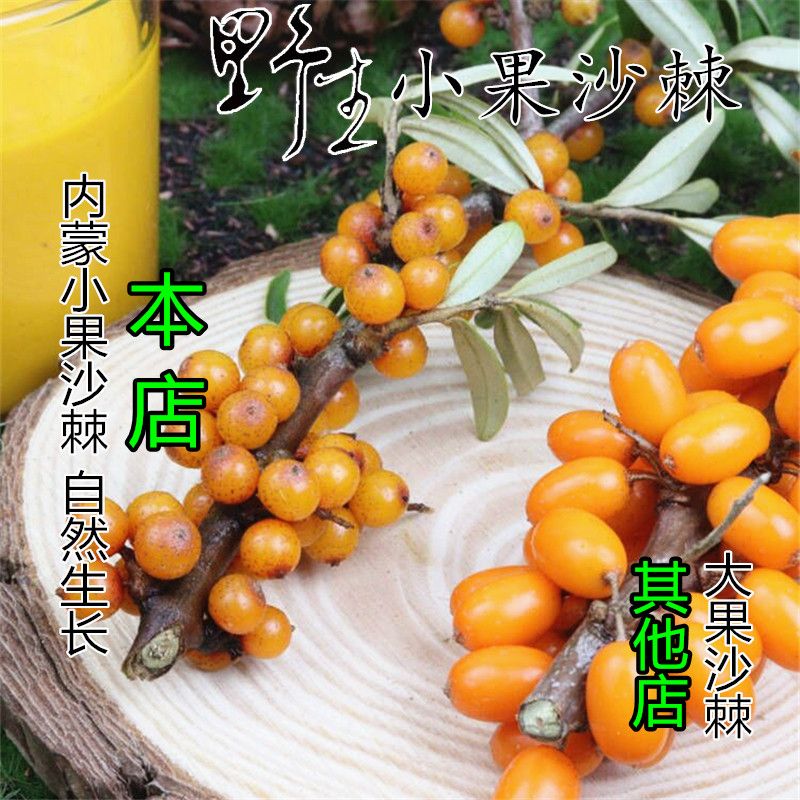 100%纯沙棘原浆：野生内蒙大山小果，官方正品旗舰店的超级果汁！