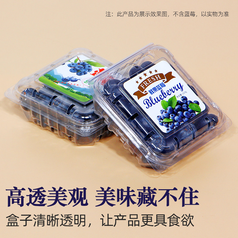 什么样的蓝莓打包盒适合保鲜？