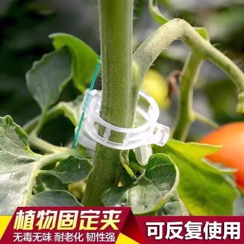 绿植果树植物固定夹卡扣藤蔓固定器秧苗爬藤支撑杆果蔬秧苗吊秧夹：园艺达人的秘密武器！