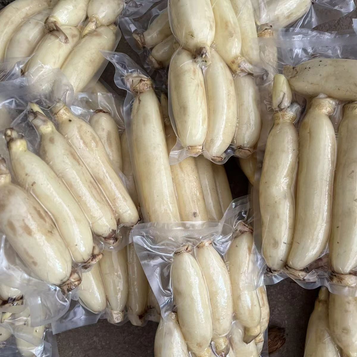 湖北洪湖特产水果藕：脆爽可口，让你爱上凉拌新滋味！蓮藕脆脆!