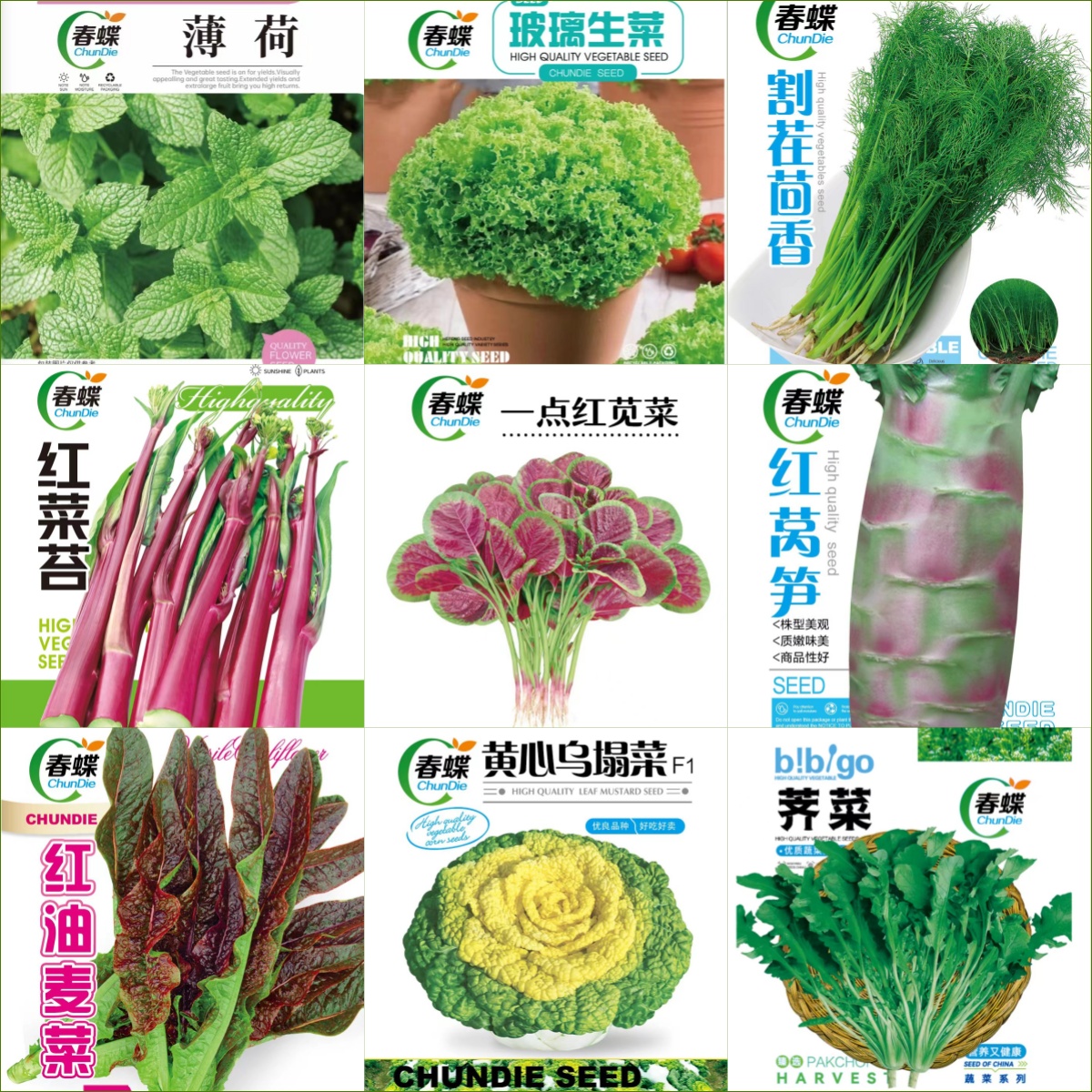 蔬菜无土栽培关键技术：唐世凯团队教你在家种出樱桃番茄的秘密！