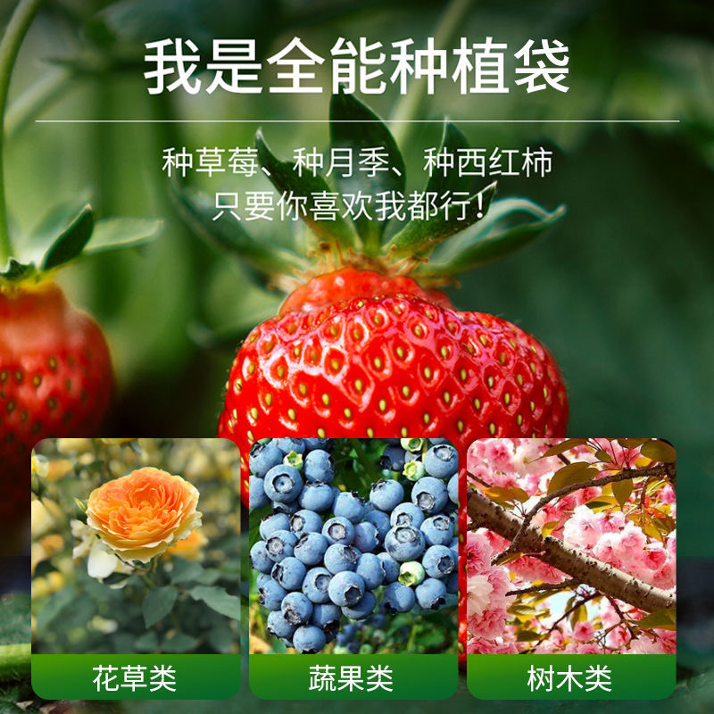 高款花盆大无纺布种美植袋：阳台种花楼顶种菜的必备神器