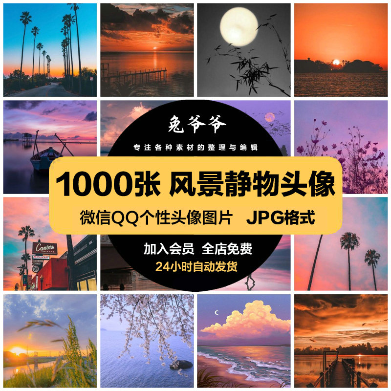 微信头像图片风景花草：美到心坎里的治愈系头像推荐！